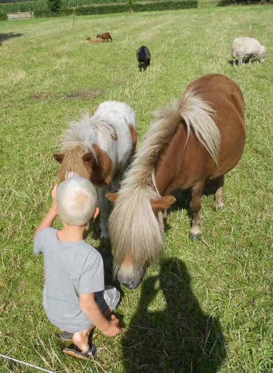 Dieren bij het Speelhuis