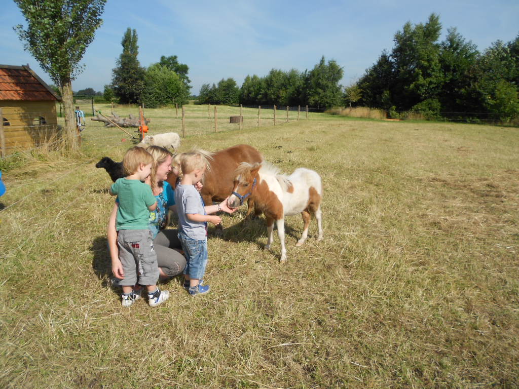 Dieren bij het Speelhuis