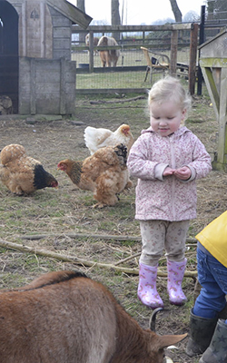 Kinderen helpen met het verzorgen van de dieren
