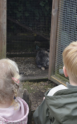 Kinderen kijken bij de dierenhokken