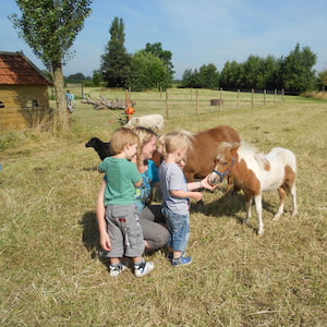 Kinderen onder begeleiding dieren aan het verzorgen