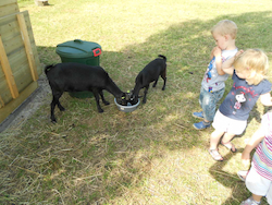 Slapen bij het Speelhuis