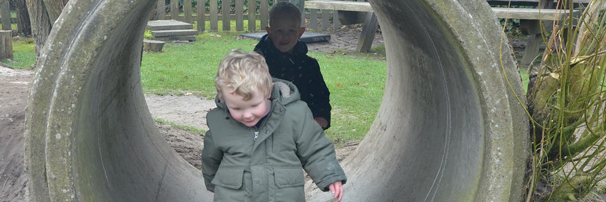 Section header image