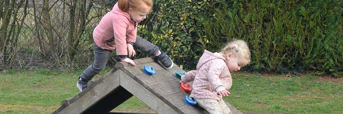 Section header image