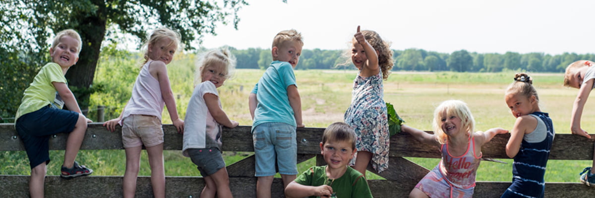 Section header image