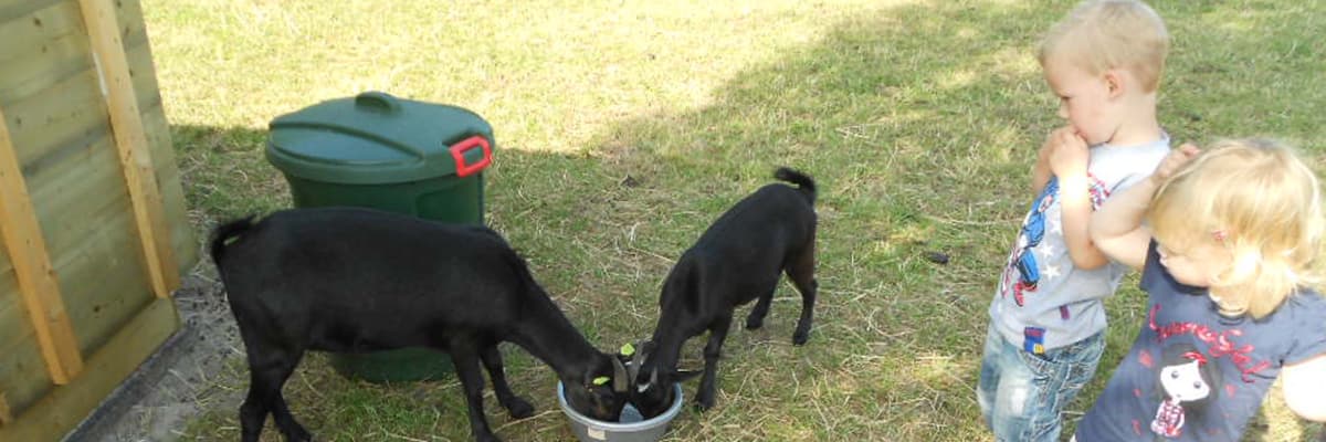 Section header image