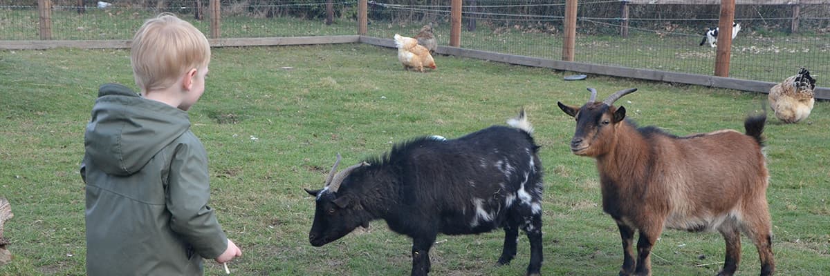 Section header image