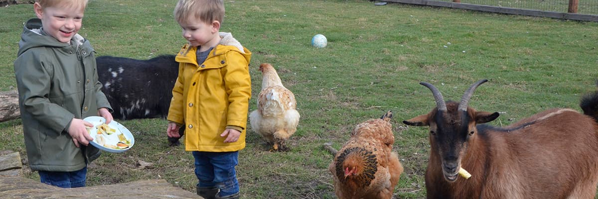 Section header image