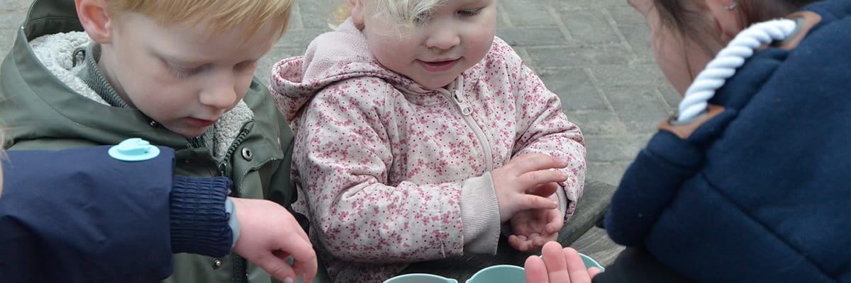 Section header image