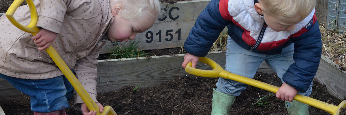 Section header image