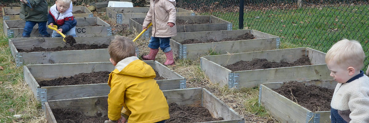 Section header image