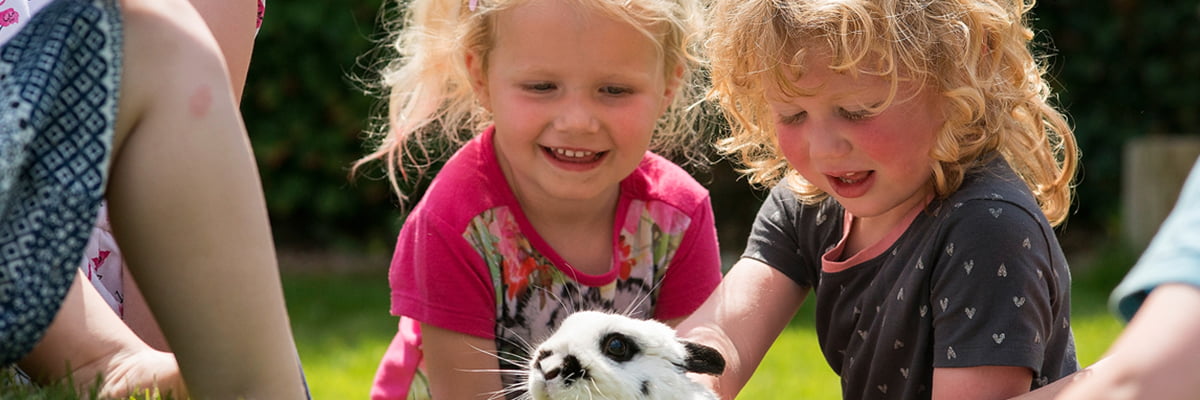 Section header image