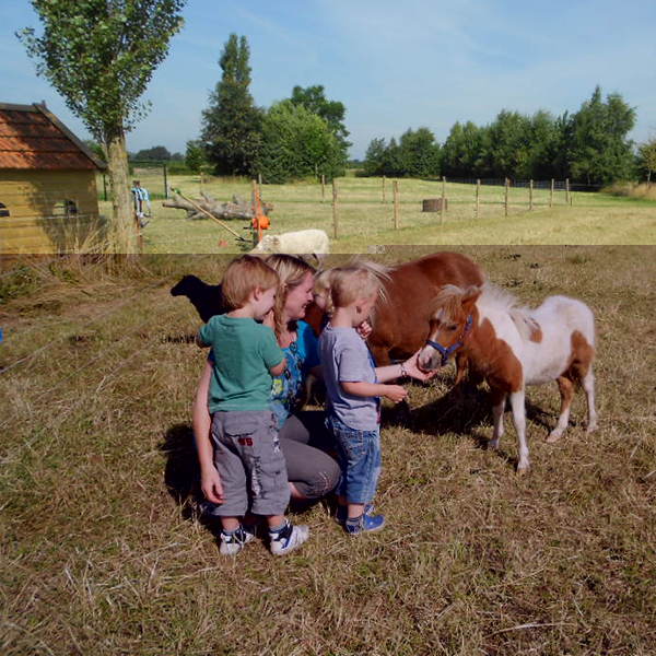 Kinderen ontmoeten dieren bij Het Speelhuis